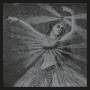 Neutral Milk Hotel - The Collected Works Of Neutral Milk Hotel-Box Set