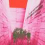 Blonde Redhead - In An Expression Of The Inexpressib