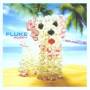 Fluke - Puppy