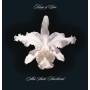 Kings Of Leon - Aha Shake Heartbreak (2lp/180g/gatefold)