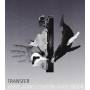 Anne-James Chaton - Transfer