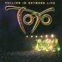 Toto - Falling In Between Live (2CD)