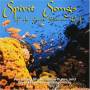 David Hudson - Spirit Songs