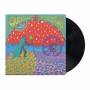 Quicksand - Distant Populations