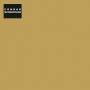 Conrad Schnitzler - Gold