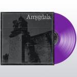 Amygdala - Our Voices Will Soar Forever