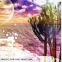 Electric Bird Noise - Desert Jelly