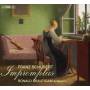Ronald Brautigam - Impromptus