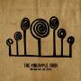 The Pineapple Thief - Nothing But The Truth (Gatefold Black 2LP)