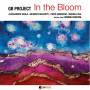 Gb Project - In The Bloom