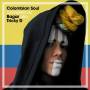 Bagar Aka Tricky D - Colombian Soul