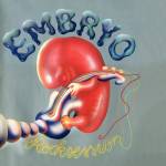 Embryo - Rocksession (limited colored Vinyl)