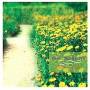 Yuhki Kuramoto - Heartstrings