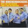 Knickerbockers - Gotta Stop this Dreamin