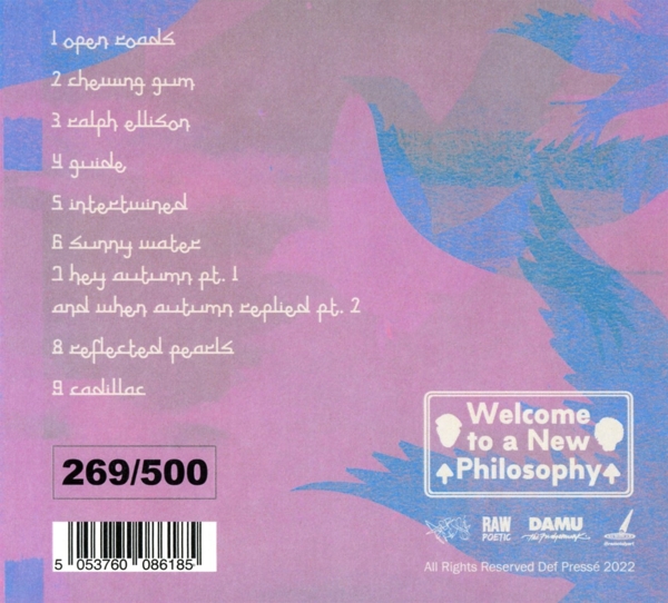 Laminated Skies 1