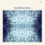 Pure Bathing Culture - Pure Bathing Culture