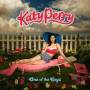 Katy Perry - One Of The Boys + 2