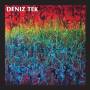 Deniz Tek - Mean Old Twister