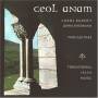 Ceol Anam - Two Guitars