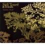 Sidi Toure & Friends - Sahel Folk