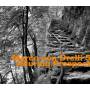 Marco Von Orelli / L. Briggen / M. Wintsch / + - Alluring Prospect