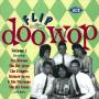 V / A - Flip Doo Wop 1