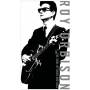 Roy Orbison - Soul Of Rock & Roll