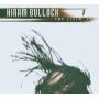 Hiram Bullock - Try Livin It