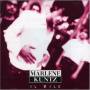 Marlene Kuntz - Il Vile