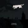 Calomito - Cane Di Schiena