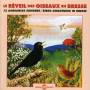 Sounds Of Nature - Birds Awakening In Bresse