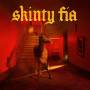 Fontaines D.c. - Skinty Fia