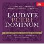 Pueri Gaudentes / Robert Hugo / Capella Regia Prah - Laudate Pueri Dominum