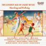 V / A - Marching And Waltzing