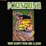 The Offspring - Why Don't You Get A Job