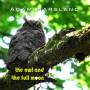 Adam Marsland - Owl & The Full Moon