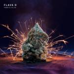 Flava D - FABRICLIVE 88: Flava D