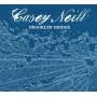 Casey Neill - Brooklyn Bridge