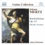 Adam Holzman - Bardenklnge