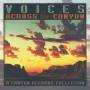 V.a.: Canyon Records - Voices Across The Canyon Vol.5