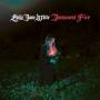 Emily Jane White - Immanent Fire (LP+MP3)
