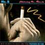 Mr.B - Shining The Pearls