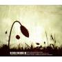 The Law-Rah Collective - Field Of View