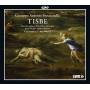 Il Gusto Barocco; Jrg Halubek - Tisbe