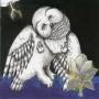 Songs: Ohia - The Magnolia Electric Co