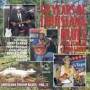 V / a - Louisiana Swamp Blues V.5