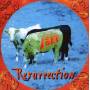 Peter Panka's Jane - Resurrection (Remastered Edition)
