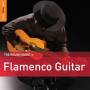 ROUGH GUIDE TO FLAMENCO GUITAR - Rough Guide: Flamenco Guitar (+