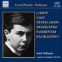 Josef Hofmann - Acoustic Recordings 1916-1923