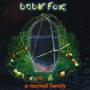 Baby Fox - Normal Family